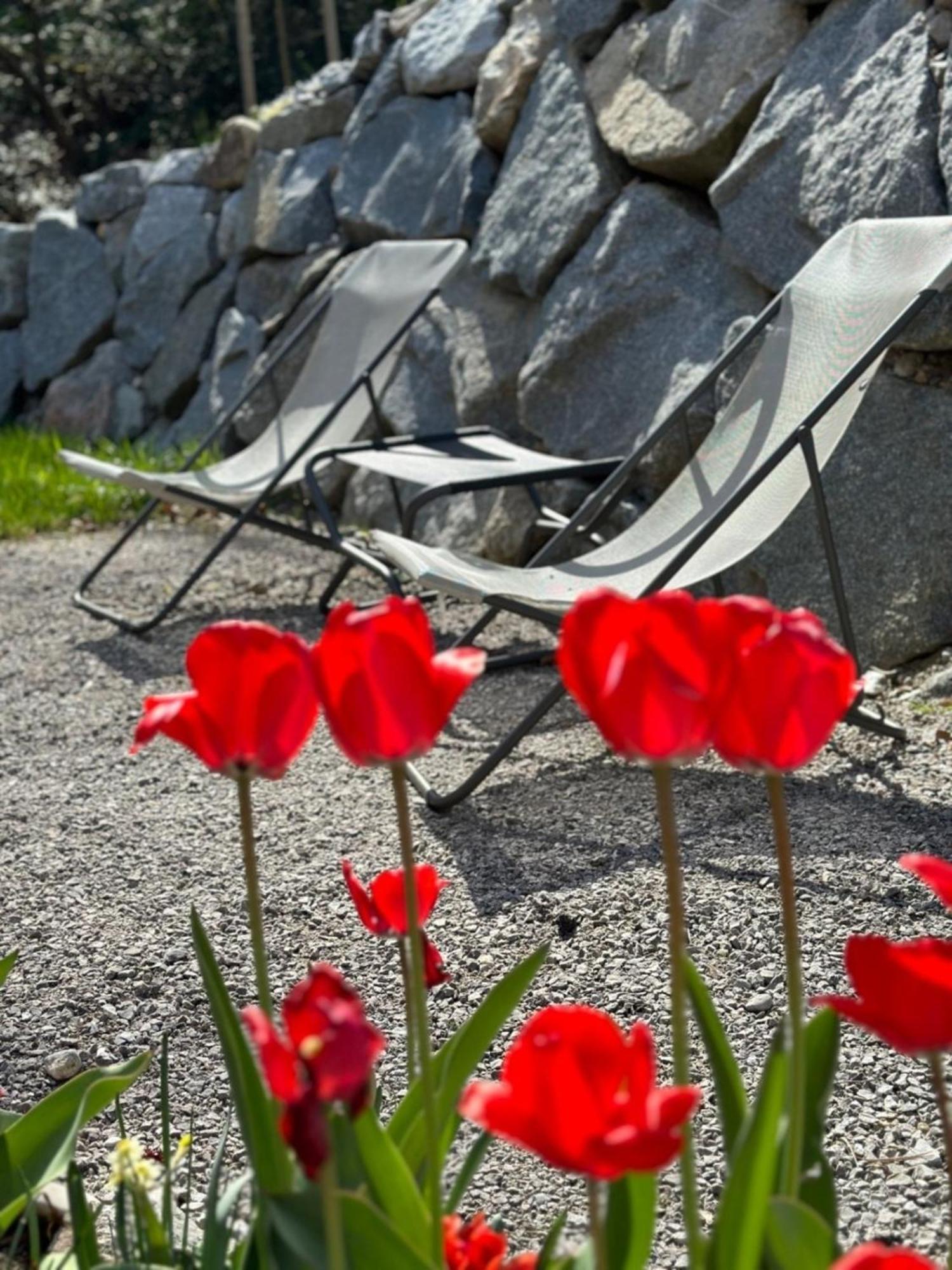Chalet22 Beim Floesserhaus In Beuerberg Eurasburg Zewnętrze zdjęcie